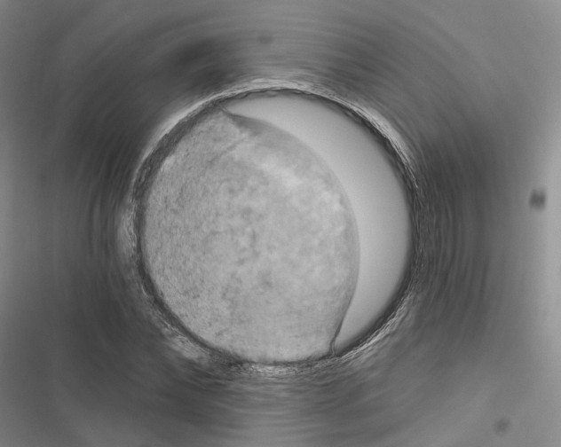 X0000116490878201001201401