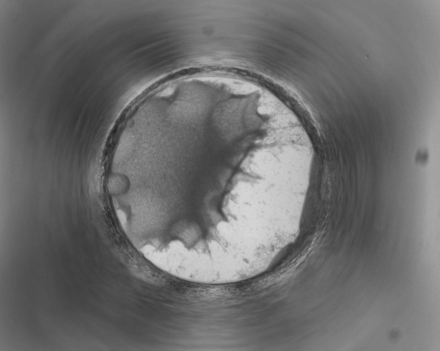 X0000116490879201001201401