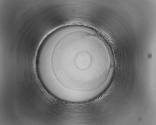 X0000116490880201001201401