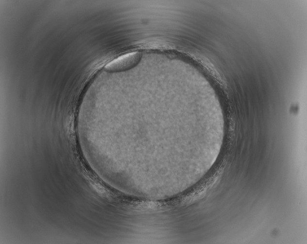 X0000116490881201001201401