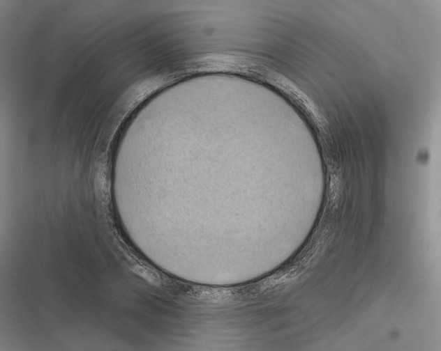 X0000116490882201001201401