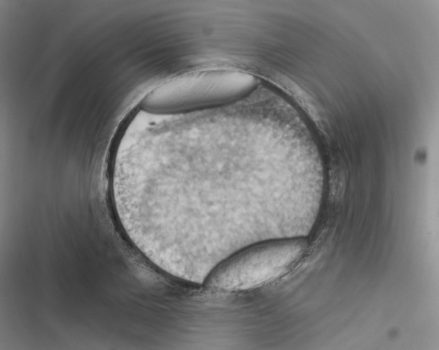 X0000116490885201001201401