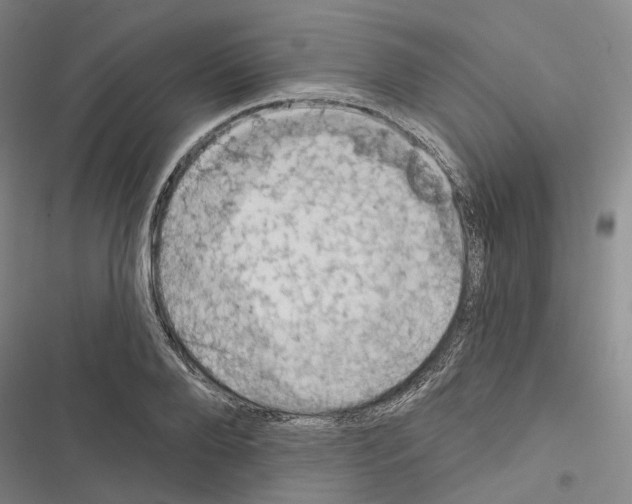 X0000116490888201001201401