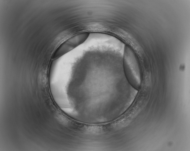 X0000116490889201001201401