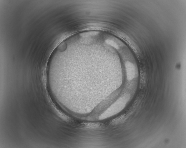 X0000116490890201001201401