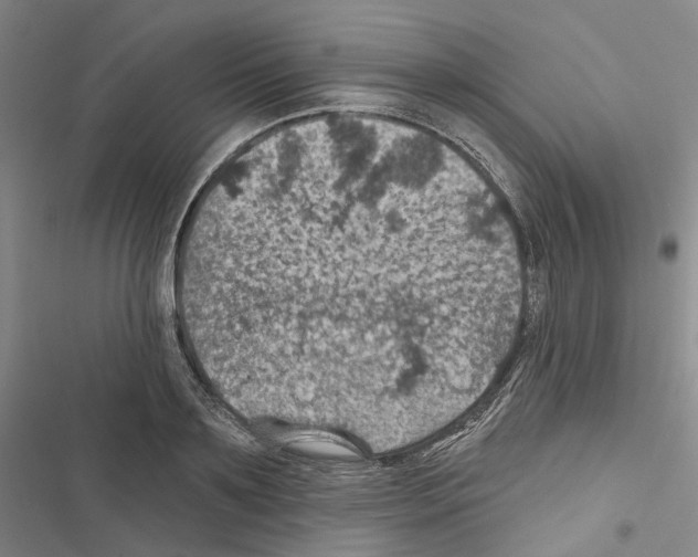 X0000116490891201001201401