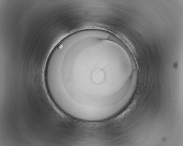 X0000116490893201001201401