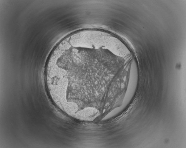 X0000116490895201001201401