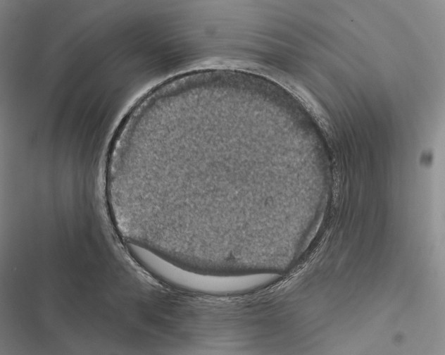 X0000116490896201001201401