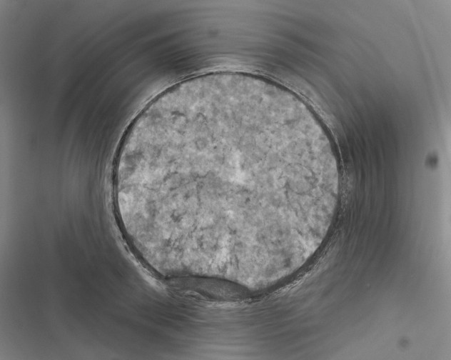 X0000116490898201001201401