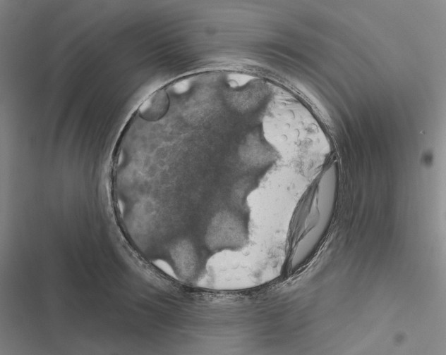 X0000116490899201001201401