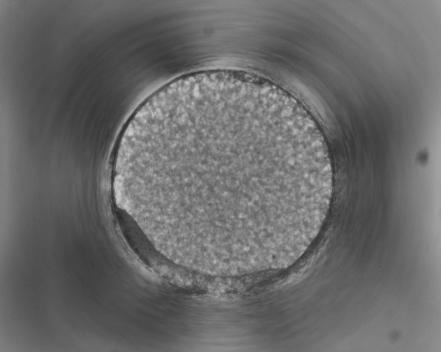 X0000116490900201001201401