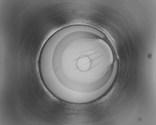 X0000116490901201001201401