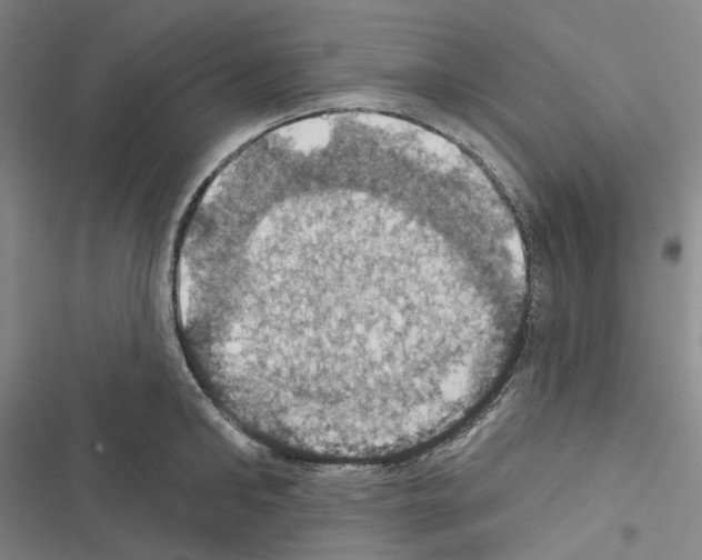 X0000116490902201001201401