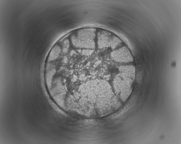 X0000116490903201001201401