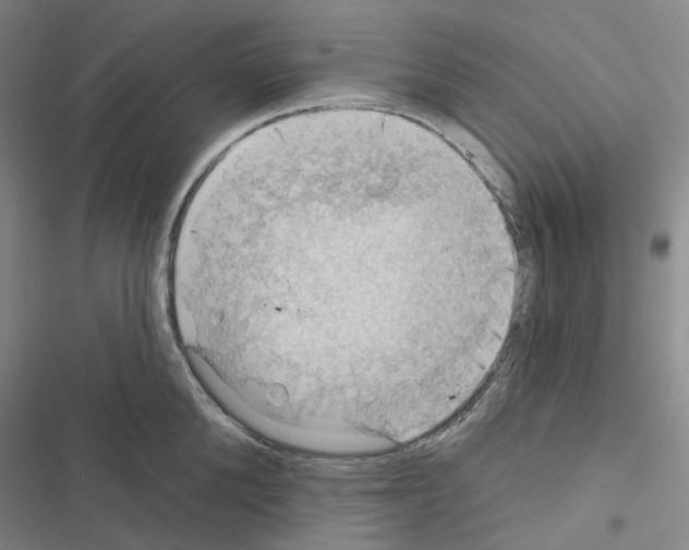 X0000116490904201001201401