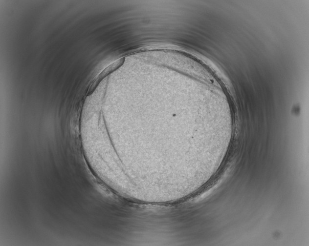 X0000116490905201001201401