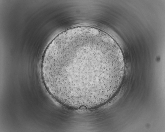 X0000116490906201001201400