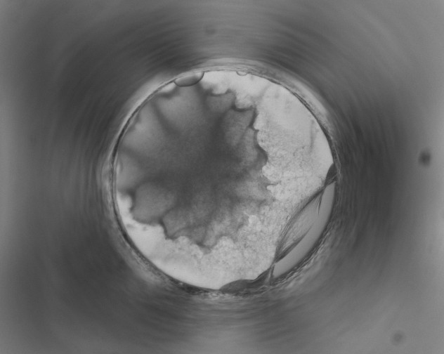 X0000116490907201001201400