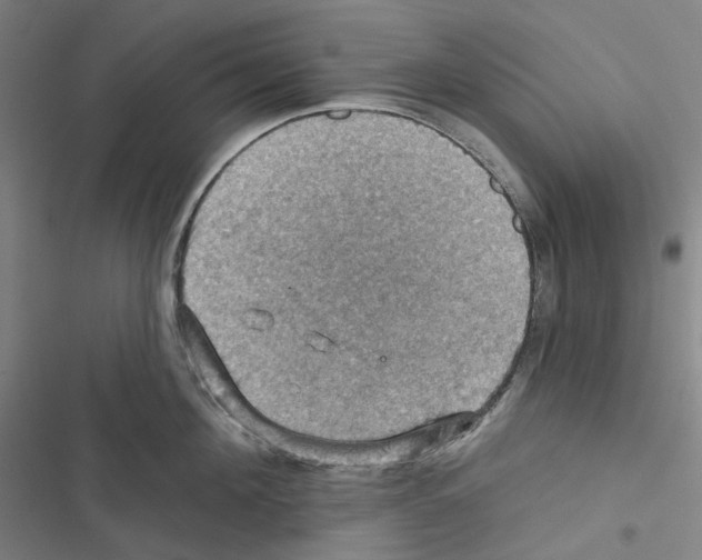 X0000116490908201001201400