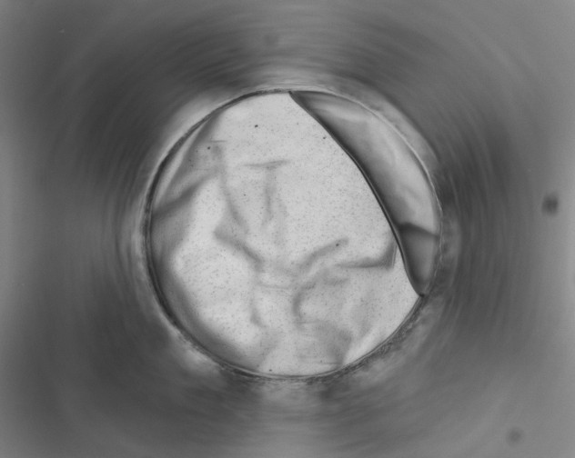 X0000116490909201001201400