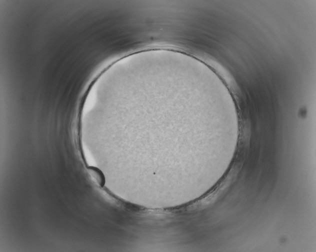 X0000116490910201001201400