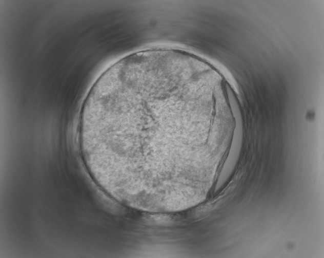 X0000116490911201001201400