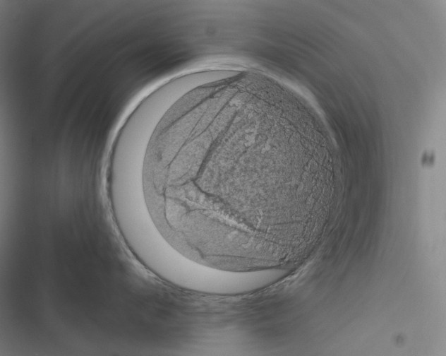 X0000116490912201001201400