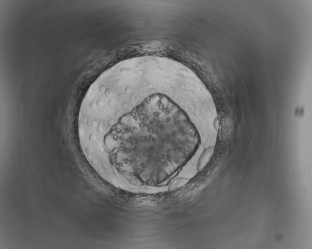 X0000116490913201001201400