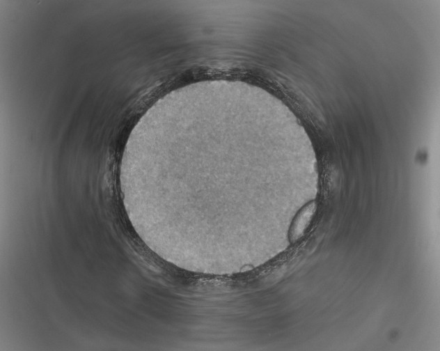 X0000116490914201001201400