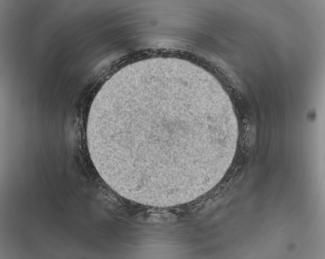 X0000116490918201001201400