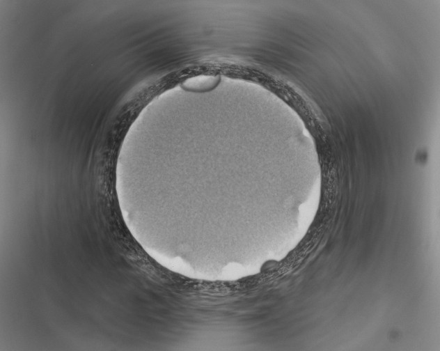 X0000116490919201001201400