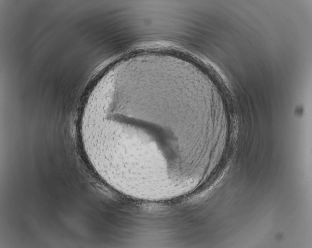 X0000116490921201001201400