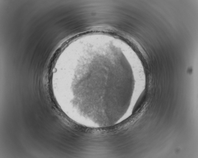 X0000116490923201001201400