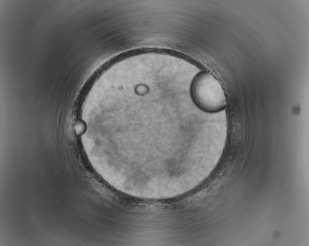 X0000116490926201001201400