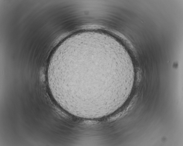 X0000116490929201001201400