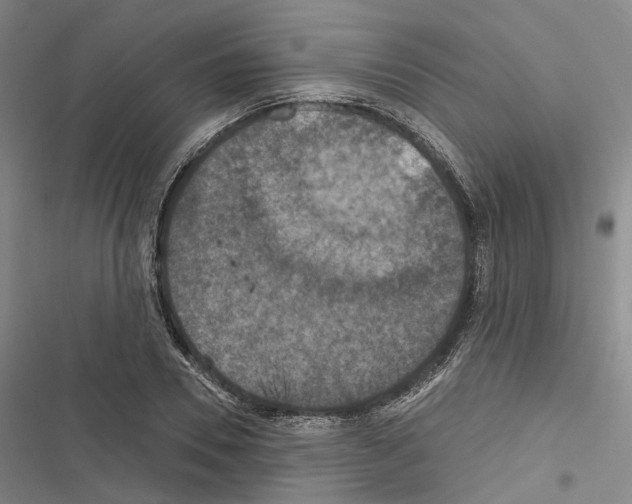 X0000116490930201001201400