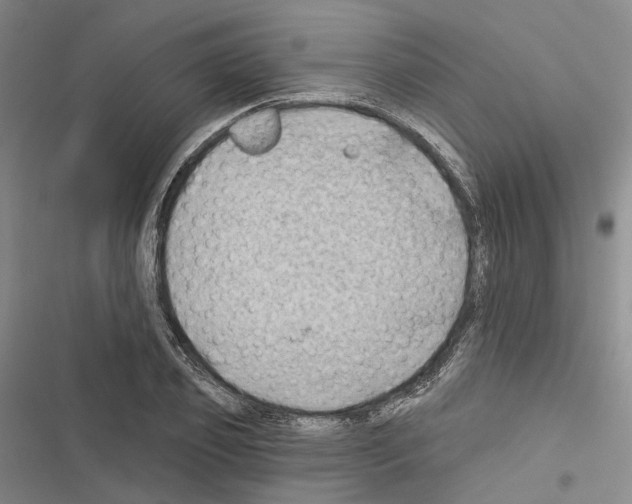 X0000116490933201001201400