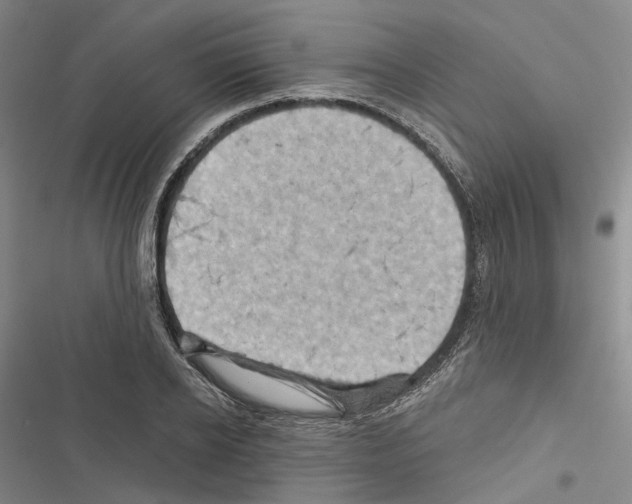 X0000116490934201001201400