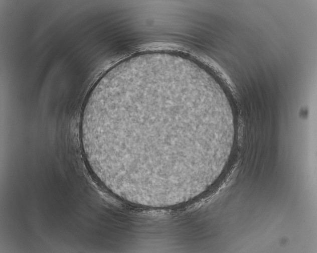 X0000116490937201001201400