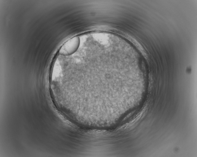 X0000116490939201001201400