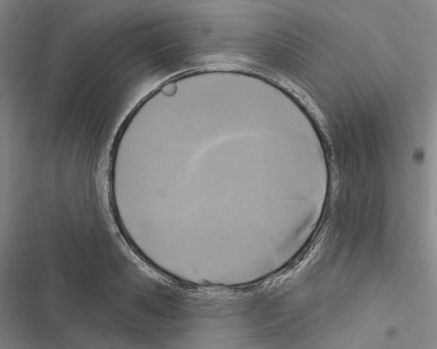 X0000116490941201001201400