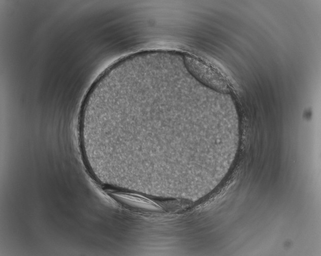 X0000116490942201001201400