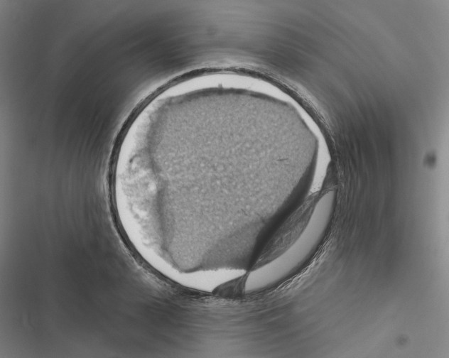 X0000116490943201001201400