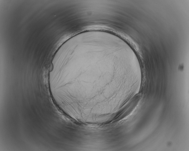 X0000116490945201001201400