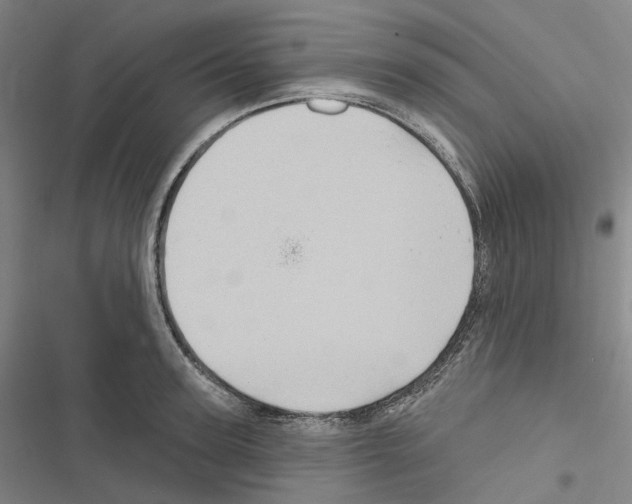 X0000116490947201001201400