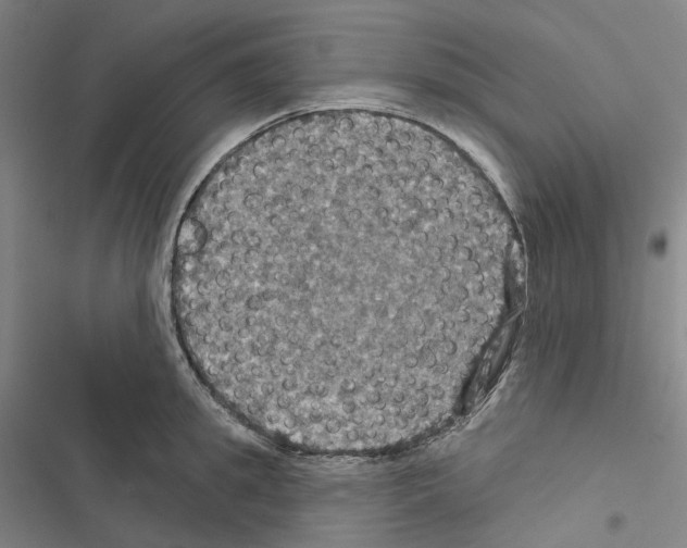 X0000116490949201001201400