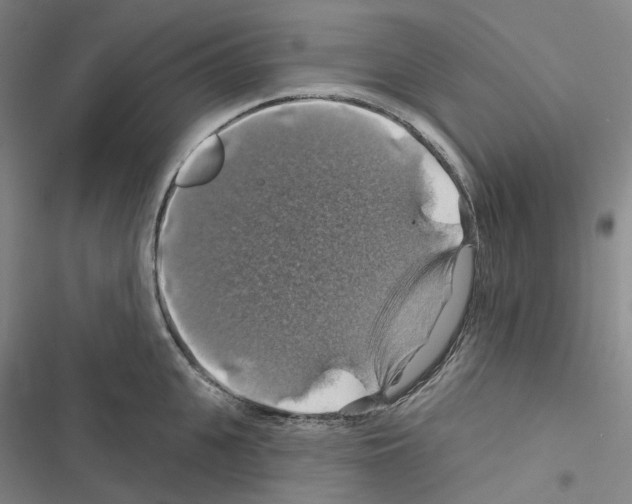 X0000116490951201001201400