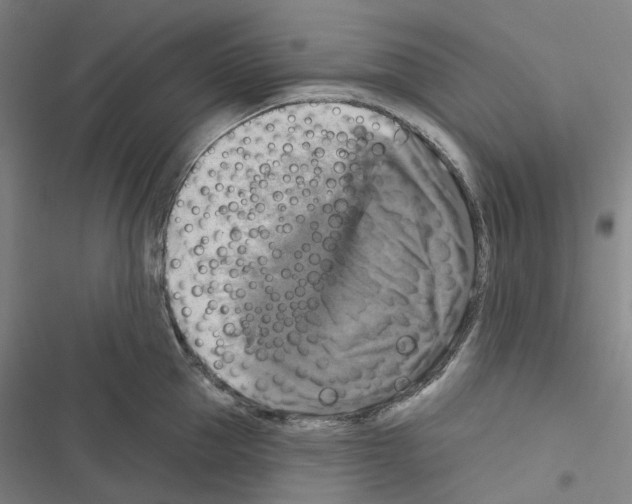 X0000116490953201001201400