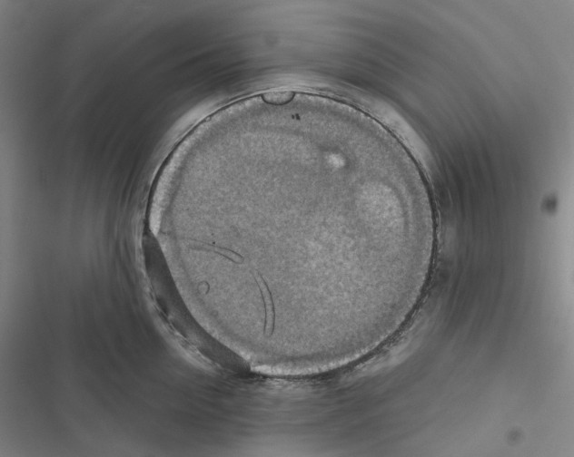 X0000116490954201001201400